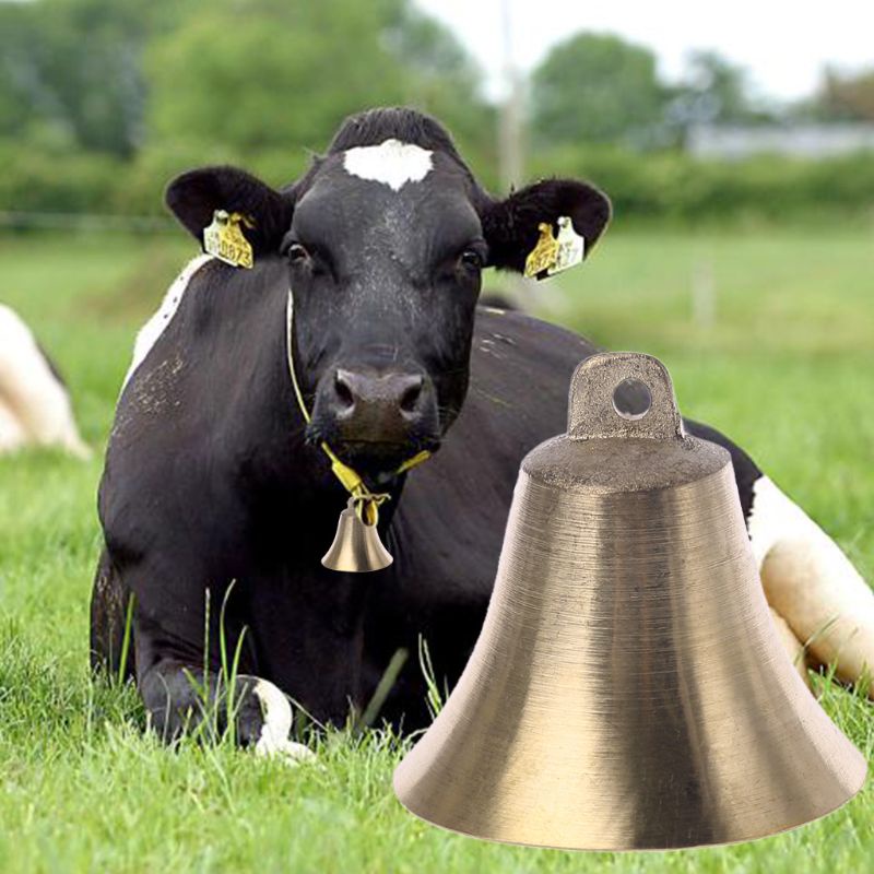10 unidades 10 campanas de vaca de metal dorado accesorios antipérdidas campanas de decoración para manualidades para animar festivo para caballos y ovejas 