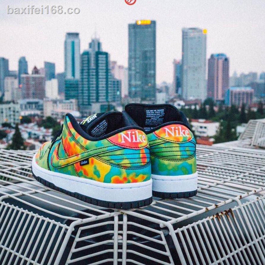 nike sb paisaje