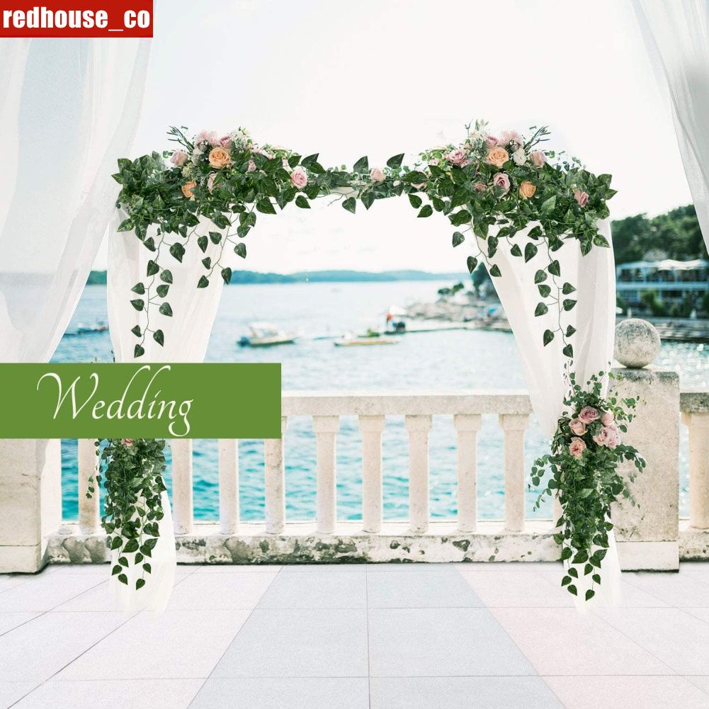 Boda Fiesta Decoración Del Hogar Simulación Perenne Hojas De Uva Verde  Enredadera Verdes Caña Cocina Techo Planta Flor Vid REDHOUSE | Shopee  Colombia