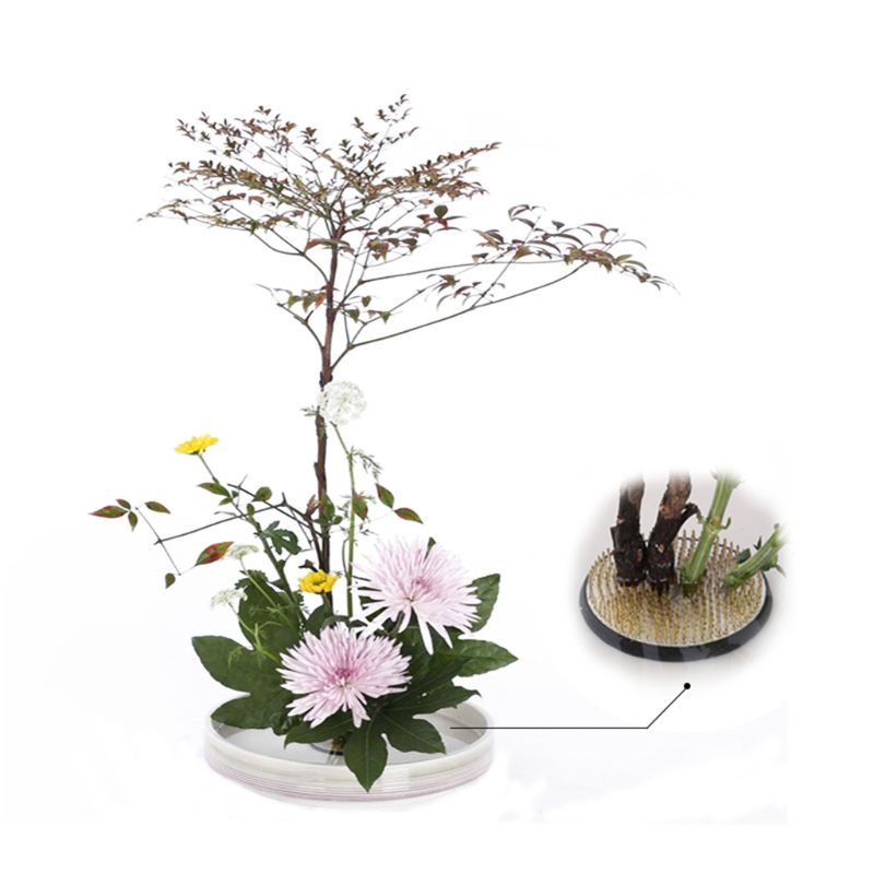 Ikebana redondo-flores-rana con el sello de caucho tipo arranging Herramientas fijas u0q9 