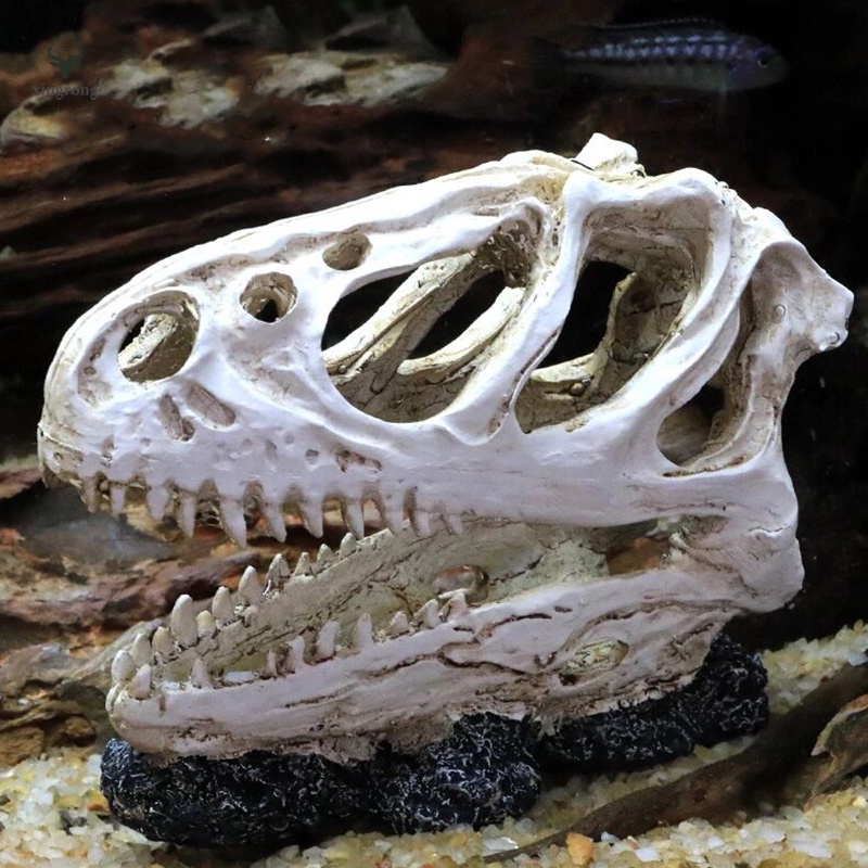 Yoyakie Acuario Cráneo del Dinosaurio Adorno De La Novedad del Acuario Decoración De Terrarios Artificial Cráneo del Dinosaurio 