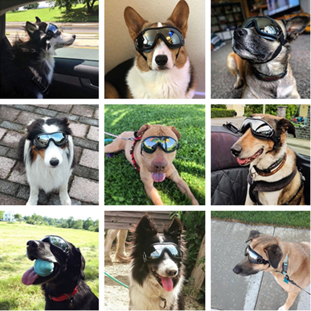 Image of gafas para perros mascotas para perros grandes a prueba de viento protección contra el polvo gafas de sol desgaste de ojos #4