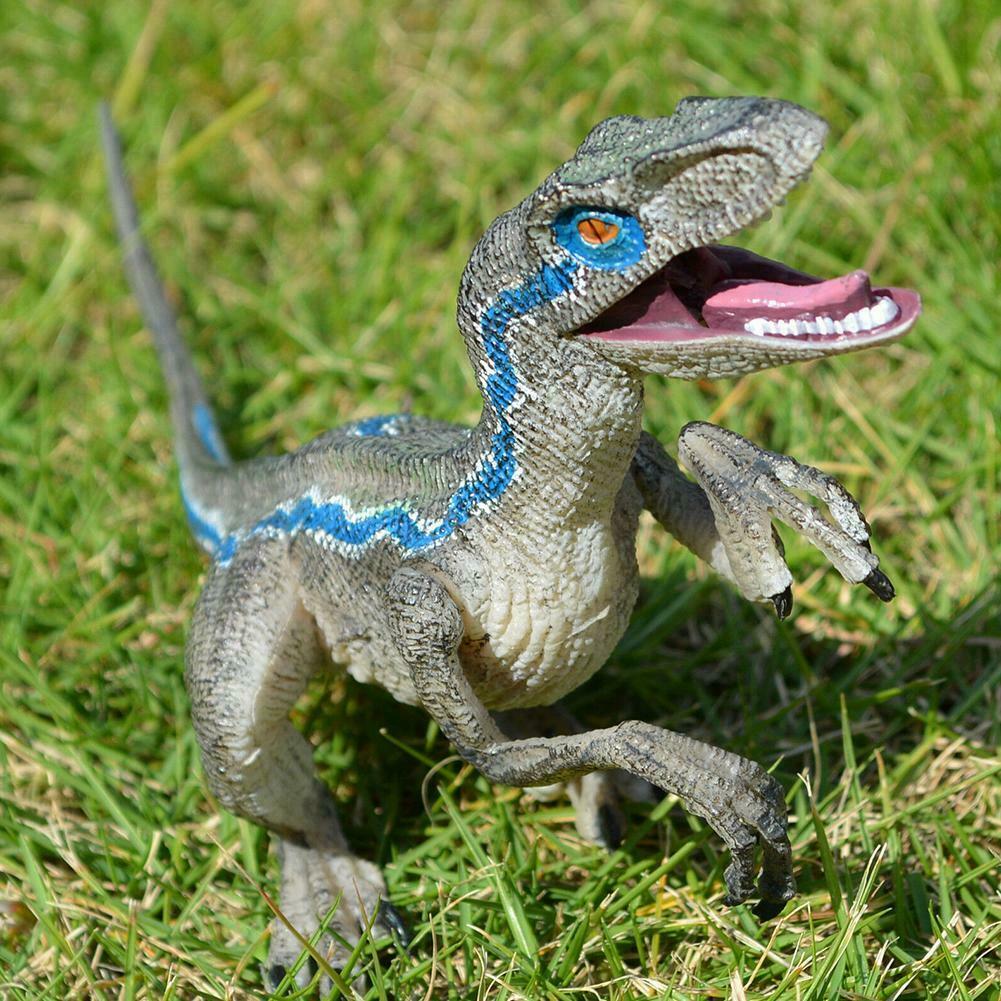 Jurassic Blue Dinosaurio Velociraptor Juguete Educativo O8L3 Modelo De  Cumpleaños W7B6 | Shopee Colombia