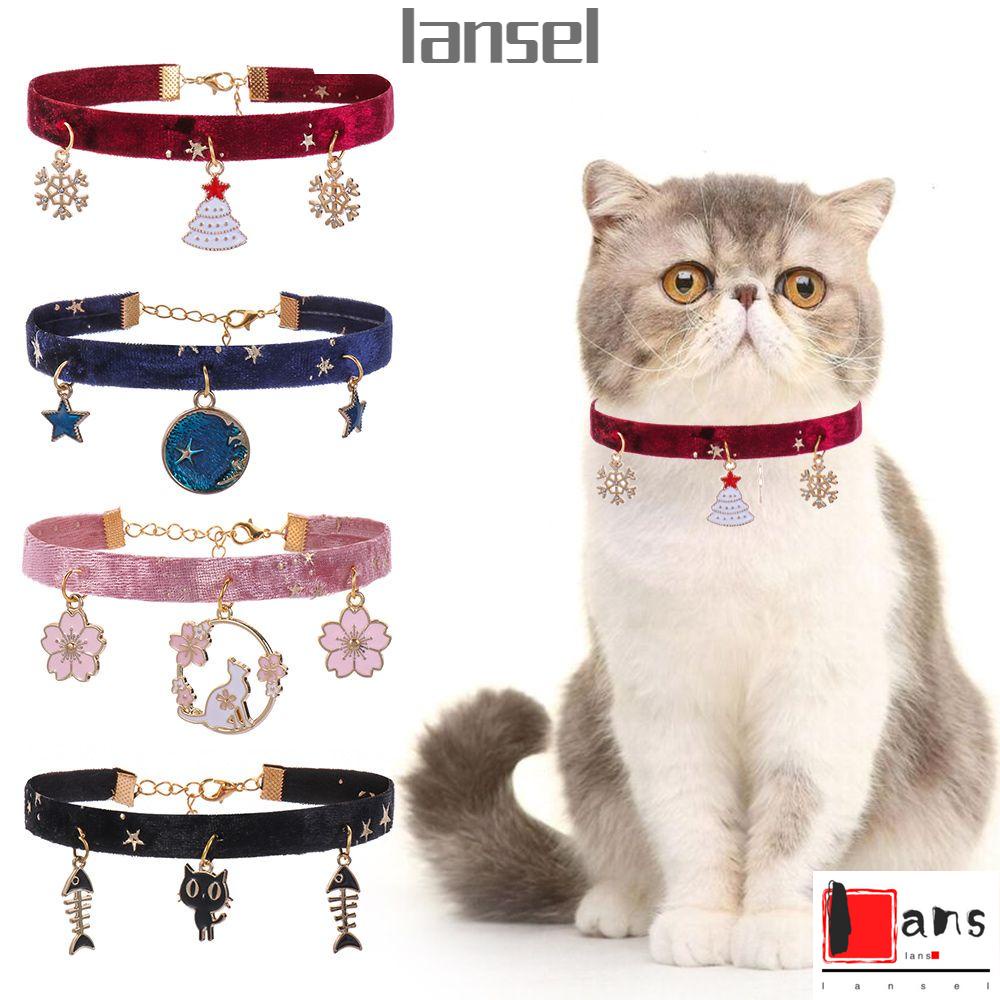 collar gatos - Precios y Ofertas - feb. de 2023 Shopee Colombia