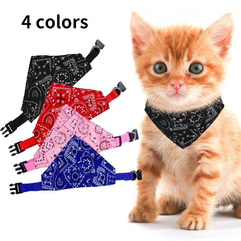 collar gatos - Precios y Ofertas - feb. de 2023 Shopee Colombia
