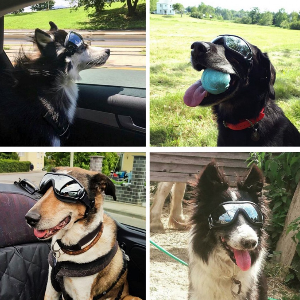 Image of gafas para perros mascotas para perros grandes a prueba de viento protección contra el polvo gafas de sol desgaste de ojos #3