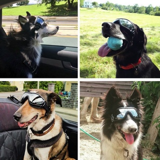Image of thu nhỏ gafas para perros mascotas para perros grandes a prueba de viento protección contra el polvo gafas de sol desgaste de ojos #3