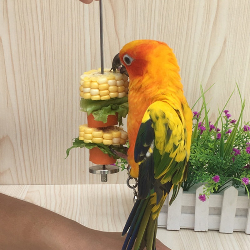 YILONG Pájaros Soporte de Producto Loro alimentador de Aves de Apoyo del pincho Fruta del Acero Inoxidable de la Lanza Palo de Carne Alimentación Palo 