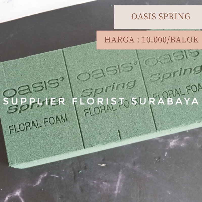 leer Descripción) espuma húmeda floral, oasis húmedo, espuma de flores  originales, espuma de flores oasis, oasis de primavera, primavera de espuma  floral | Shopee Colombia