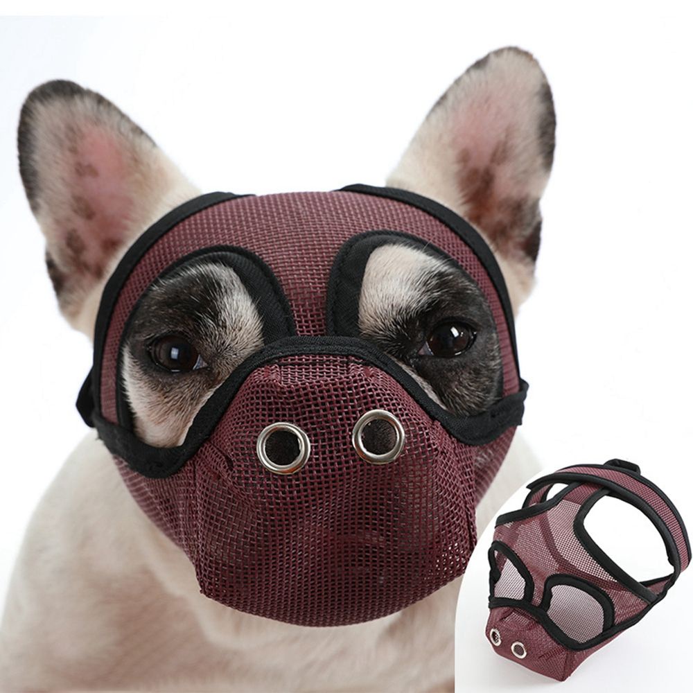 Do Dogs Have To Wear Muzzles In France