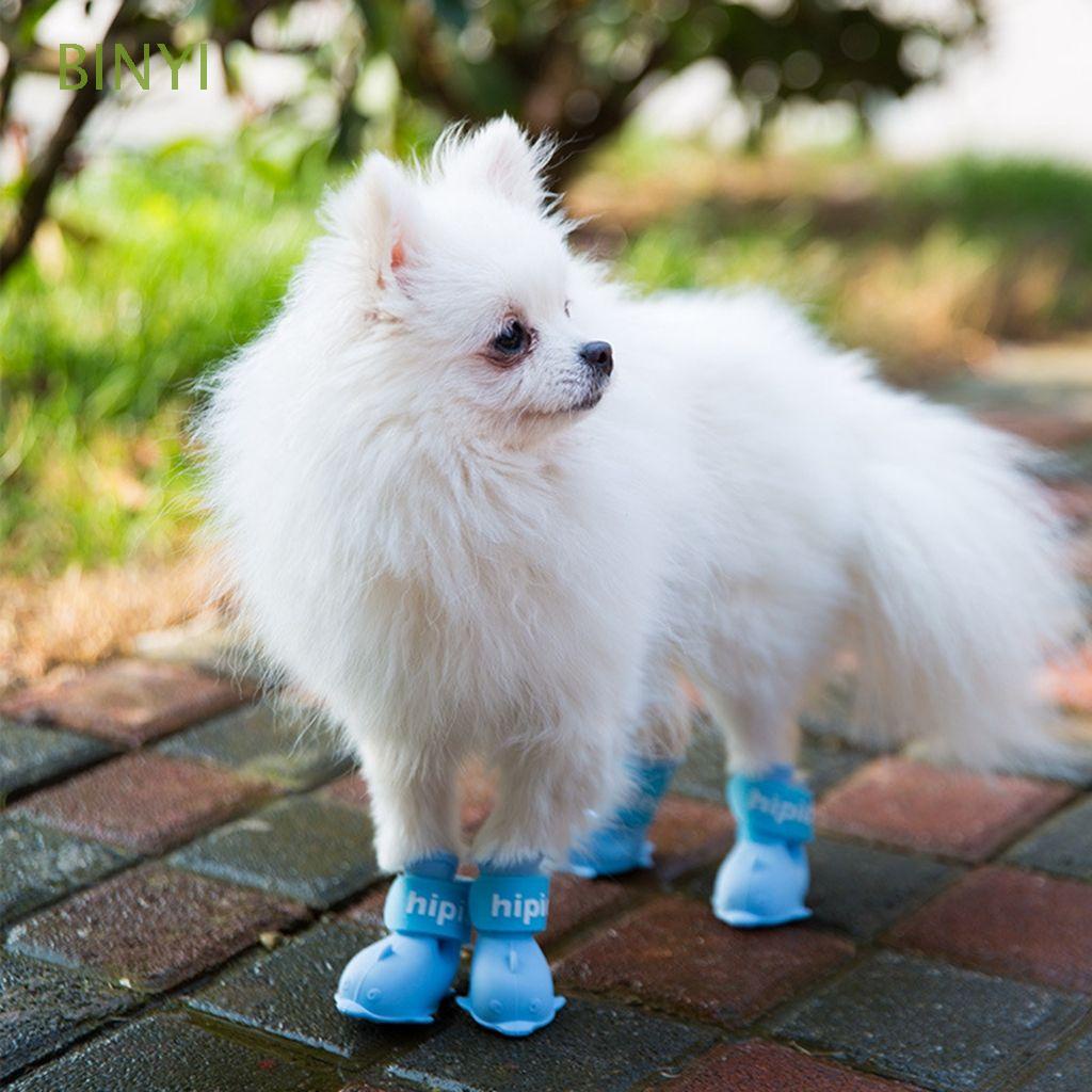 What Size Are Dog Shoes