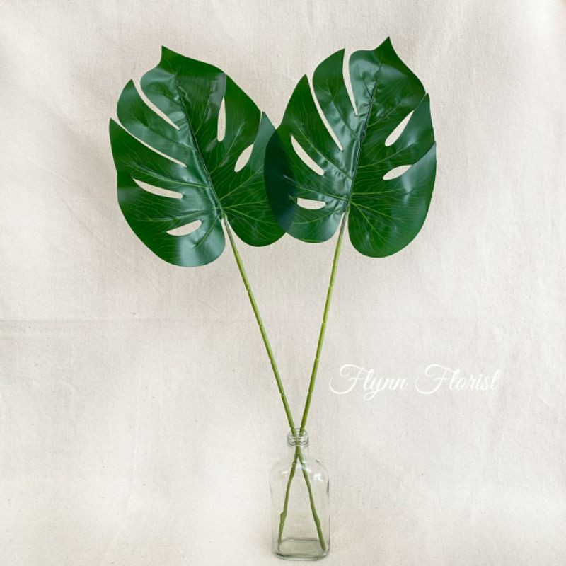 Hojas artificiales de Monstera premium/decoración de hojas/hojas de  plástico/hojas de boda | Shopee Colombia