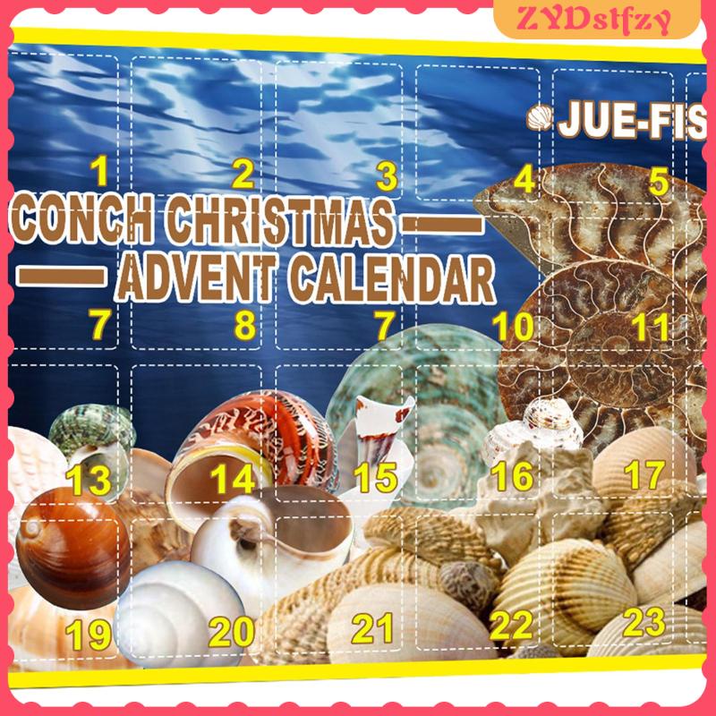 Calendar Kids Gift 24 Days Countdown Surprise Toy Advent Calendar Conch