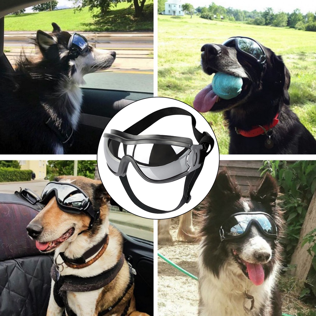 Image of gafas para perros mascotas para perros grandes a prueba de viento protección contra el polvo gafas de sol desgaste de ojos #5