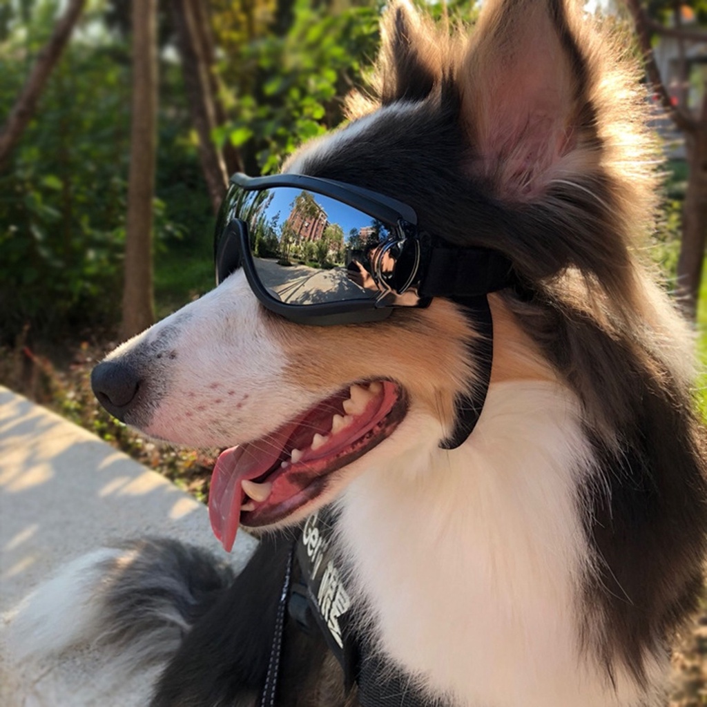 Image of gafas para perros mascotas para perros grandes a prueba de viento protección contra el polvo gafas de sol desgaste de ojos #0