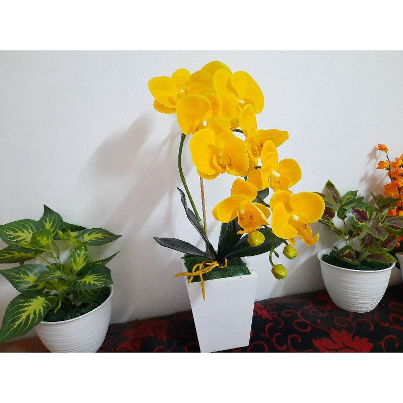 Orquídea de látex flor 1 tanque + vasija de madera blanca pantalla orquídea  luna orquídea Ornamental | Shopee Colombia