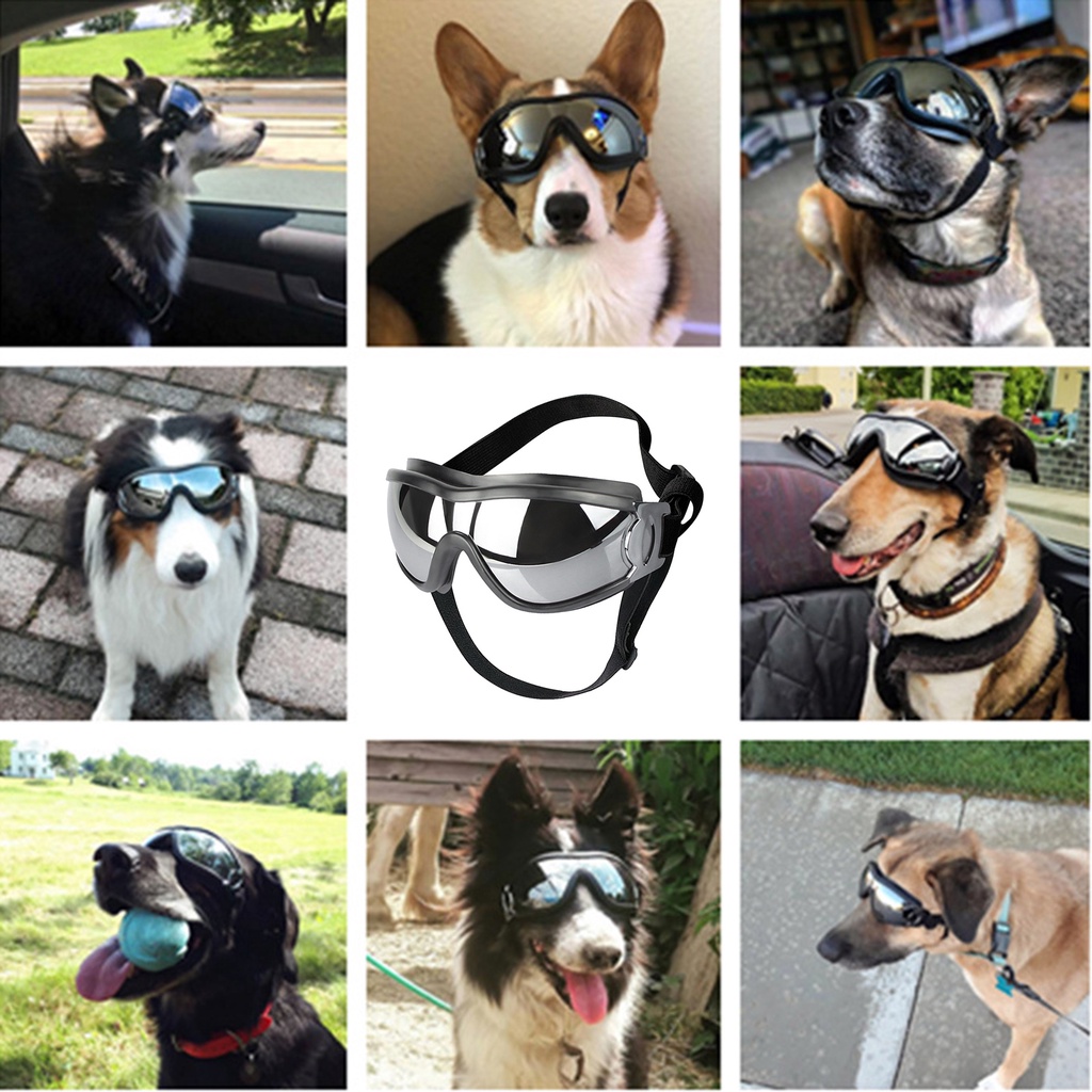 Image of gafas para perros mascotas para perros grandes a prueba de viento protección contra el polvo gafas de sol desgaste de ojos #2