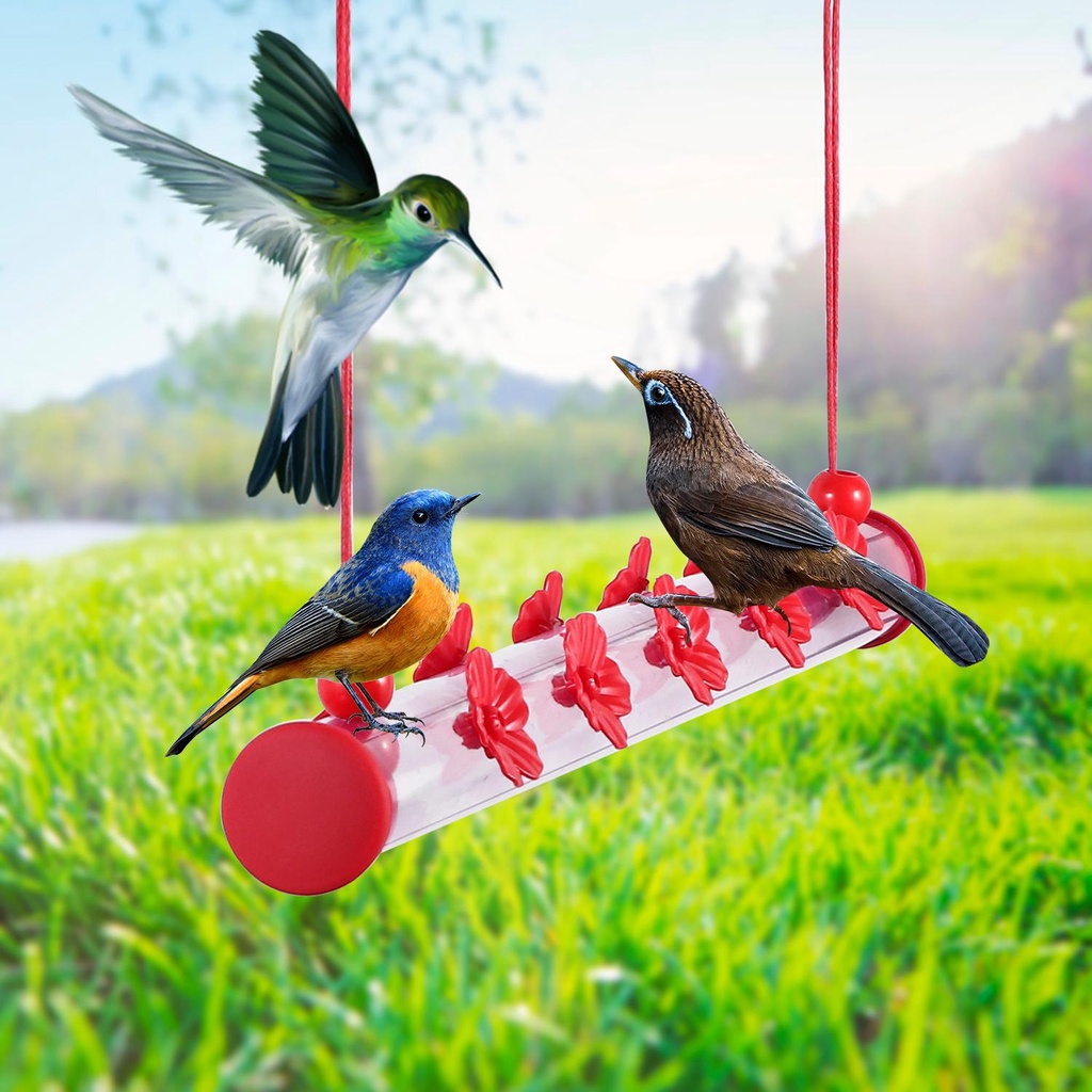 Best Hummingbird Feeder with Hole Birds Feeding Transparent Pipe Outdoor 15.7'' 