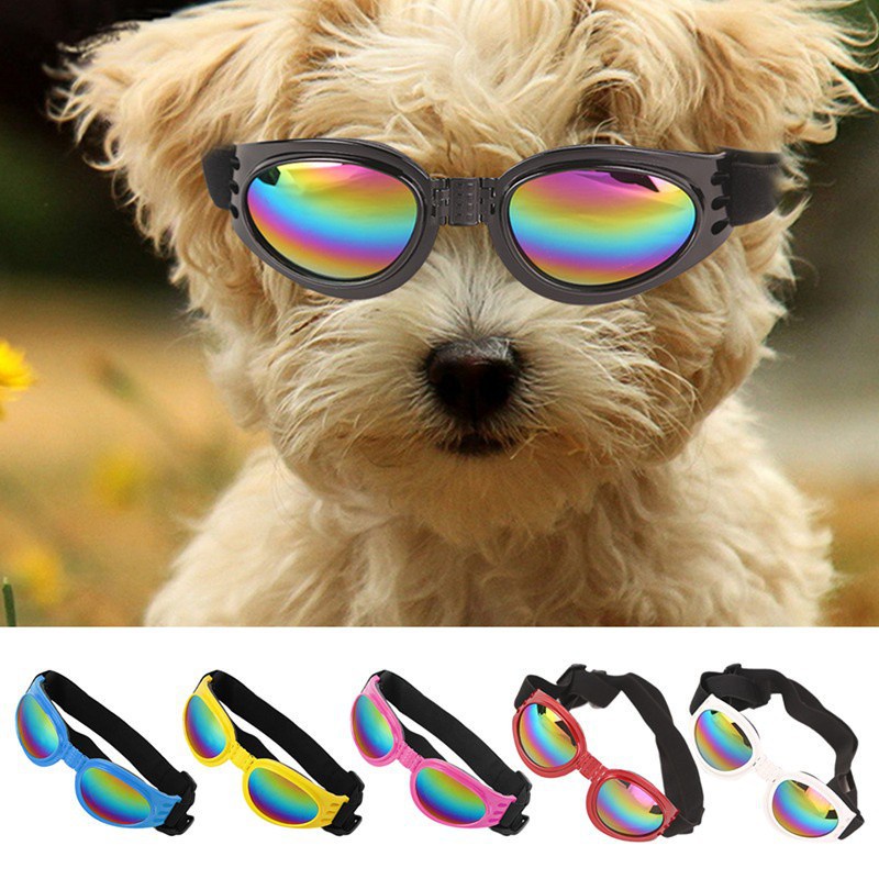 Funnyrunstore Gafas de Sol para Mascotas Horquilla Perro de Pelo Gafas de Sol pequeñas Mascota Perro Gato Productos de Aseo Perros Accesorios para el Cabello 