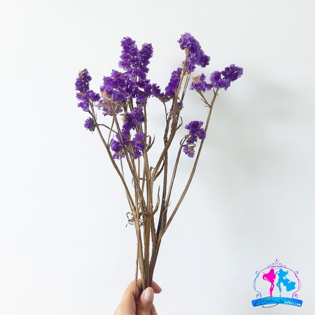 Violeta Statice flores secas | Flor seca | Púrpura oscuro flores secas |  Shopee Colombia