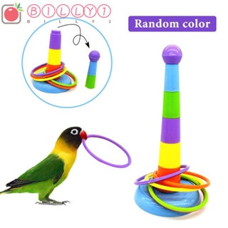 Image of BILLY1 Bird Chew Toy Mini Desarrollo Interactivo IQ Training Playground Anillos Coloridos
