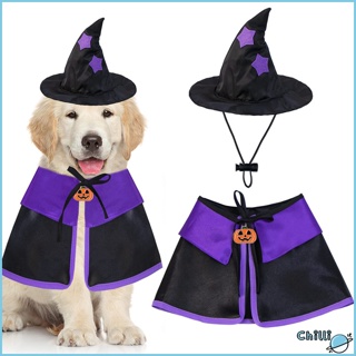 Image of  [Chilli] Sombrero Mago Capa De Halloween Para Mascotas Con Hebilla Ajustable Disfraz De Cosplay Para Perros Gatos