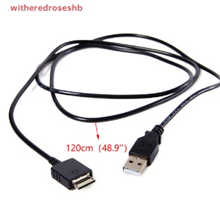 Image of thu nhỏ (WDHB) Cable De Cargador De Transferencia De Datos De Sincronización USB2.0 Alambre Para Reproductor De MP3 Walkman #8