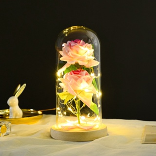 Rosa Eterna Con Luz Led En Cúpula De Vidrio Madera Para El Día De San  Valentín , Aniversario , Boda | Shopee Colombia
