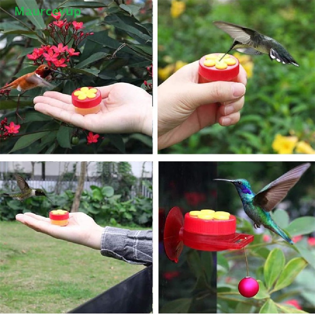 Flores En Forma De Mano De Pájaro Colibrí Bebedor De Plástico Semilla Y  Agua CO | Shopee Colombia